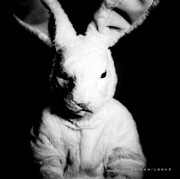 Павел Платонов | Одесса