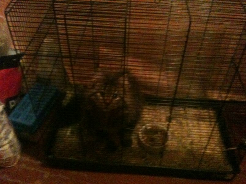 №45, Катюша Шарова, Санкт-Петербург, Россия №45, Катюша Шарова, Санкт-Петербург, Россия