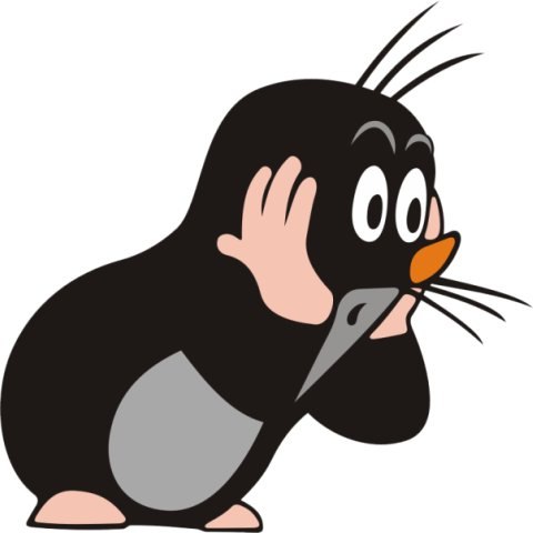 Вячеслав Шелепахин | Калининград