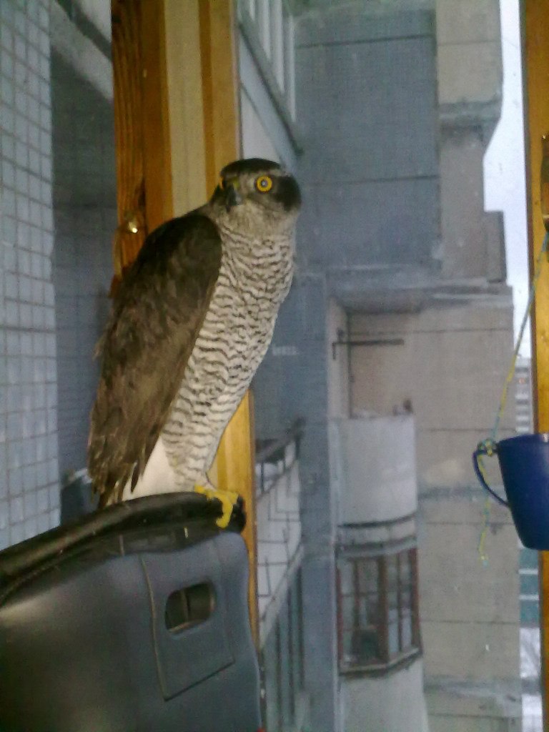 Анастасия Шуцкая | Санкт-Петербург