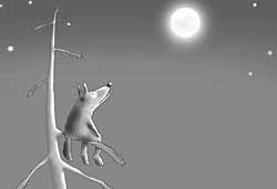 Александра Доморад | Санкт-Петербург