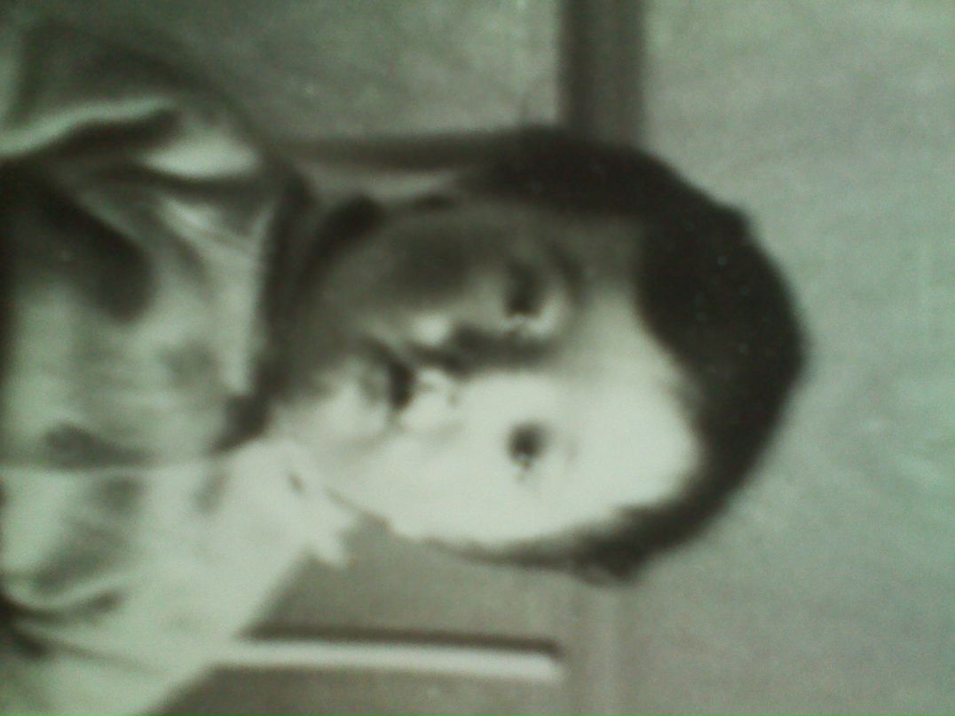 Алексей Палашкевич | Минск