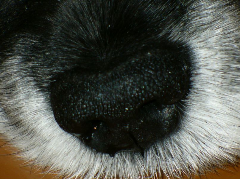 Наталья Садокова | Вологда