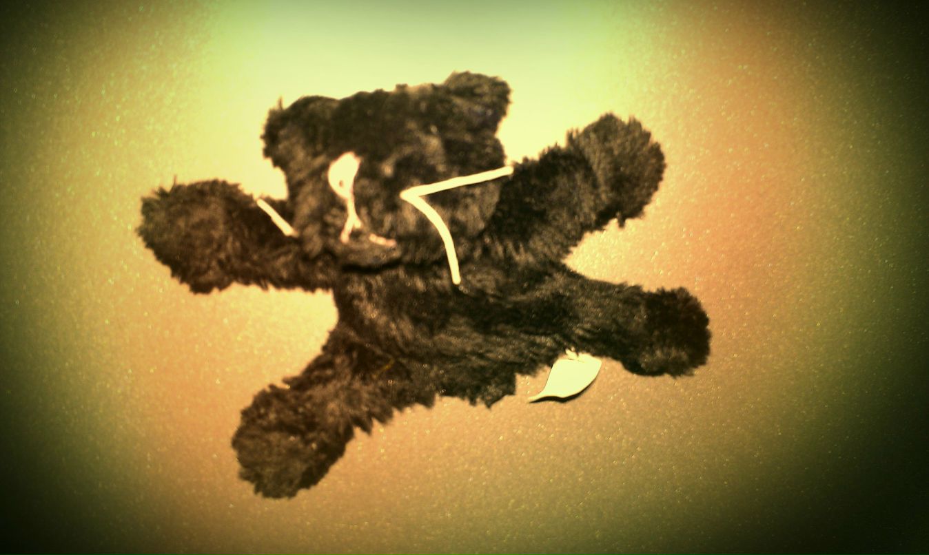 Оля Степанова | Санкт-Петербург