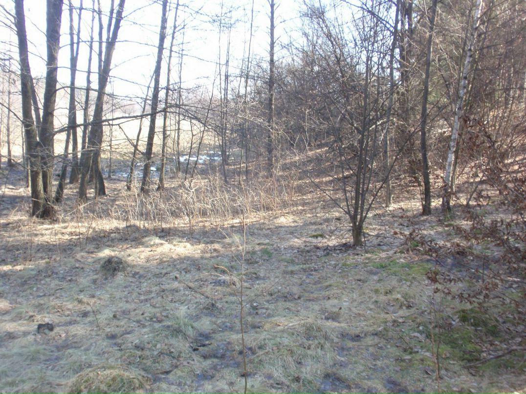 Борис Блаженний | Киев