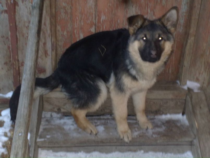 Юрий Дубов | Озёры