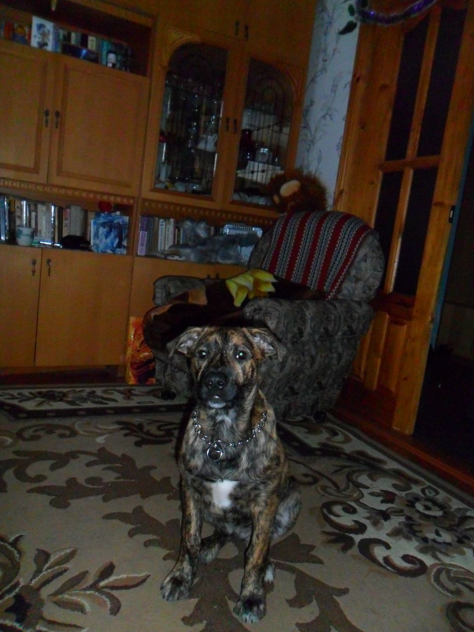 Александр Колодей 웃♥유 | Жлобин