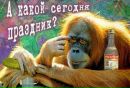 Фотография Анатолий Трофимов