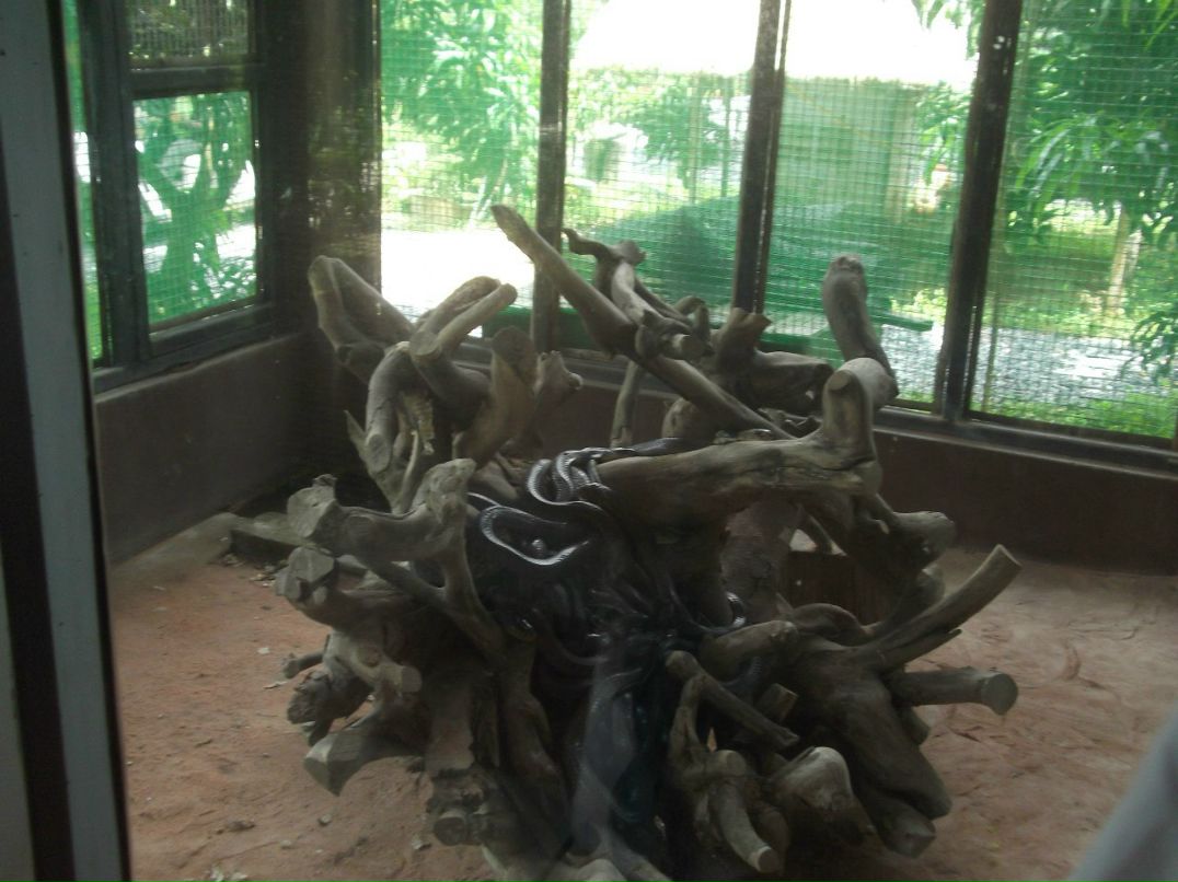 Марина Козлова | Воскресенск