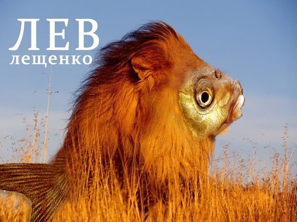 Илья Романовский | Санкт-Петербург