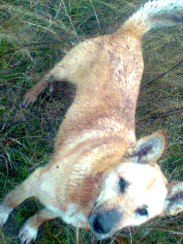 Леша Данилов | Чебоксары