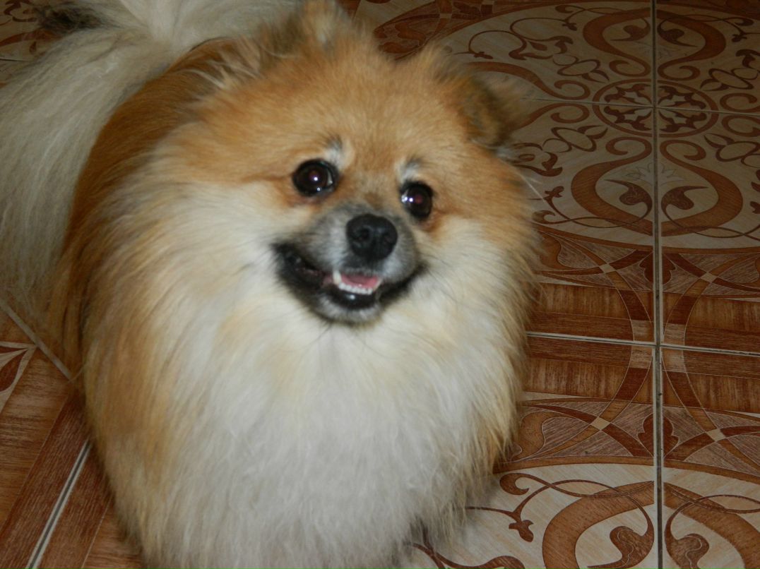 Ульяна Мязина | Липецк