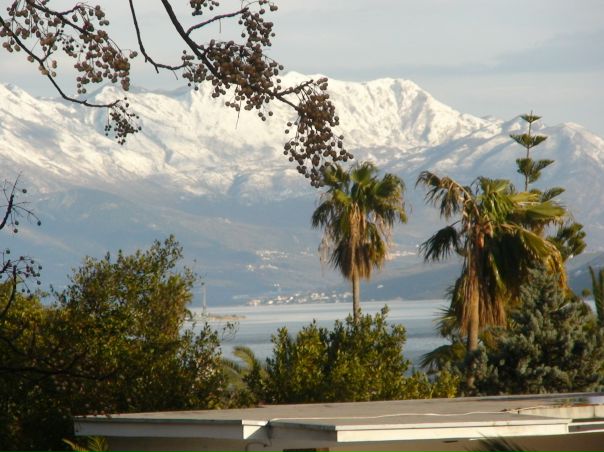 №32, Елена Юркович, 69 лет, Санкт-Петербург №32, Елена Юркович, 69 лет, Санкт-Петербург