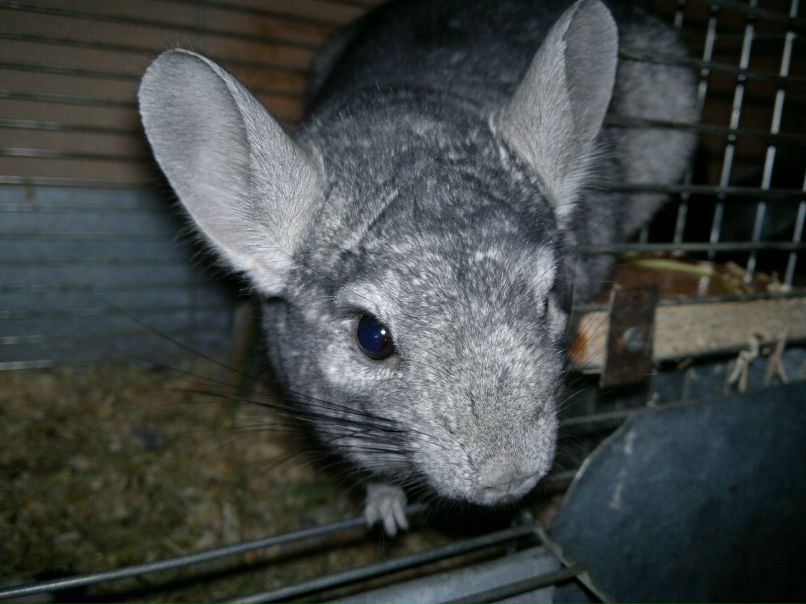 Александр Ткаченко | Киев