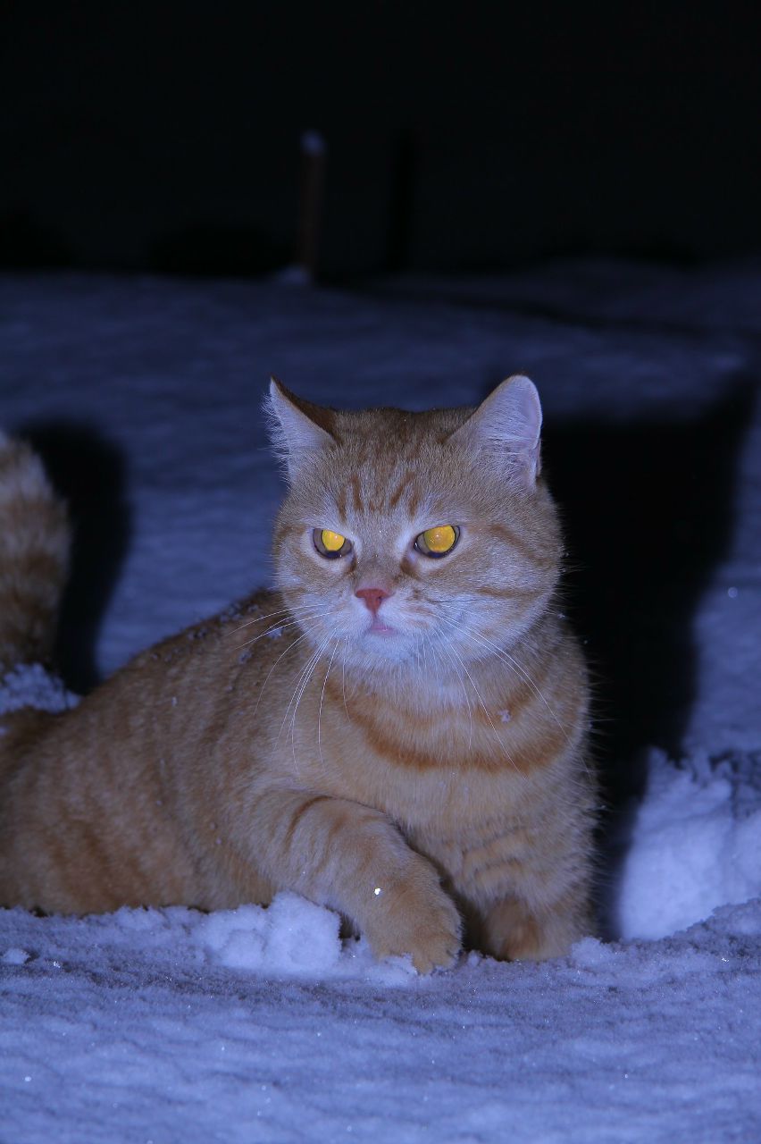 Кирилл Русаков | Екатеринбург