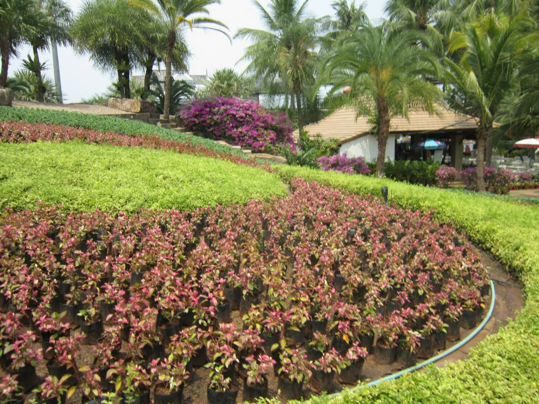 Наталья Р. | Новодвинск