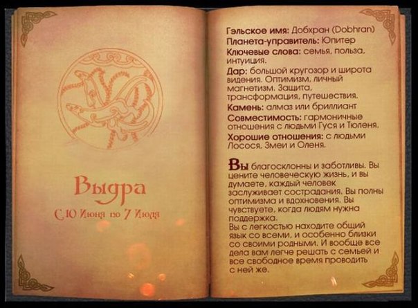 №15, Виктория Рыжкова №15, Виктория Рыжкова