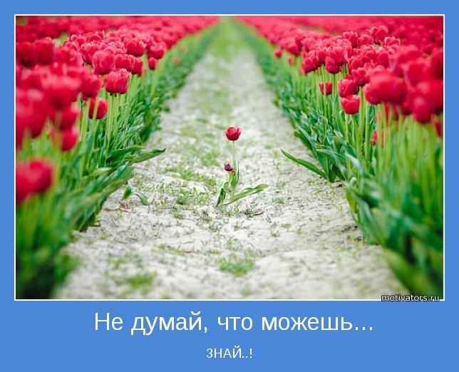 Дмитрий Троско | Минск