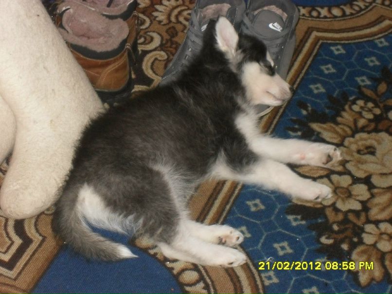 Ирина Вакуленко | Москва