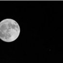 №91, Уляна Каракоцюк, Гусятин №91, Уляна Каракоцюк, Гусятин