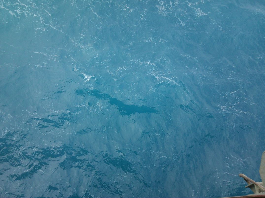 Макс Баранов | 