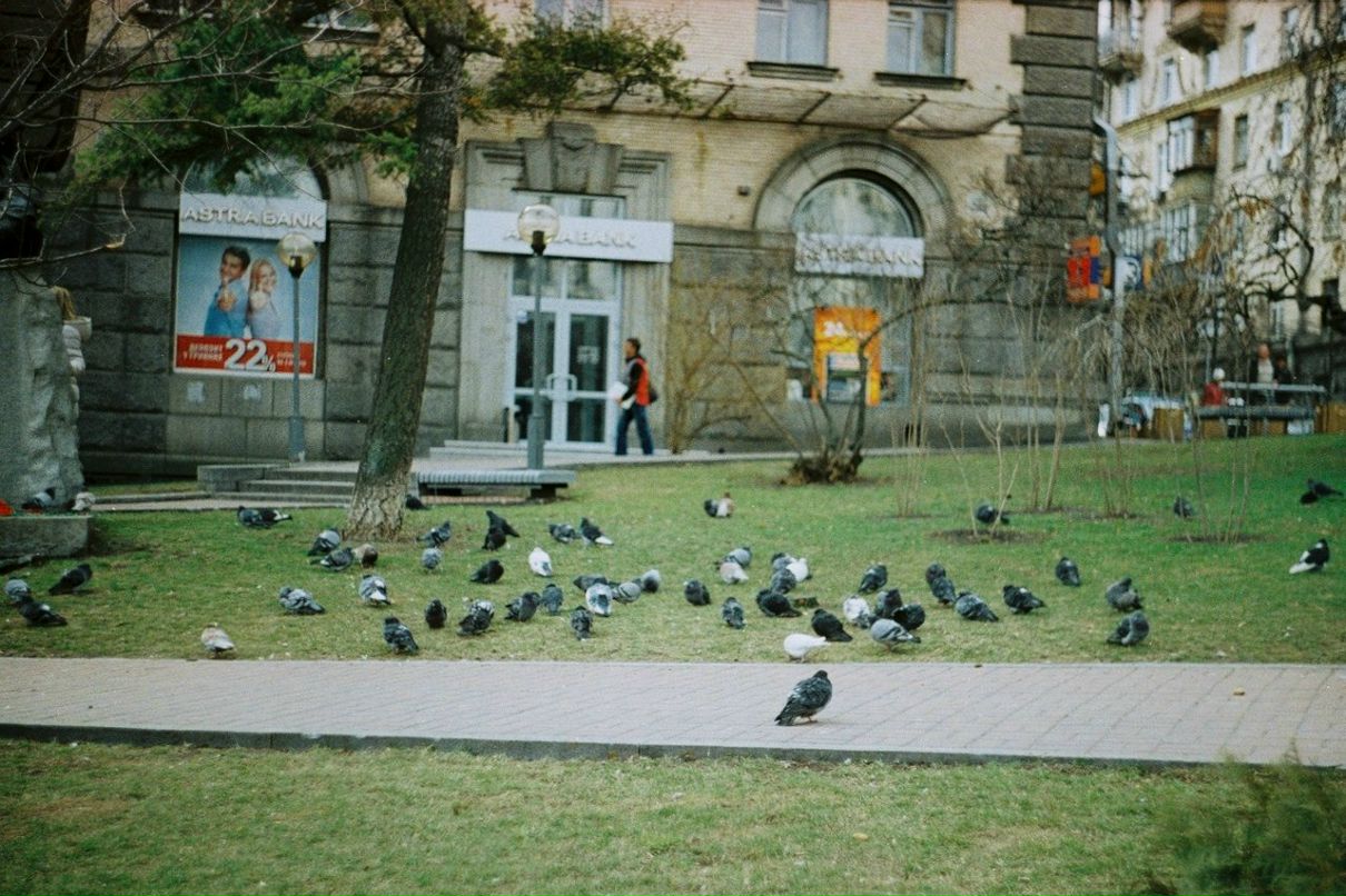 Антон Соловей | 