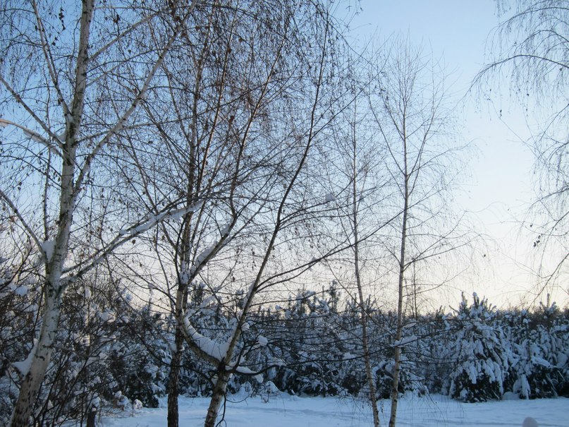 Михаил Румянцев | Боярка