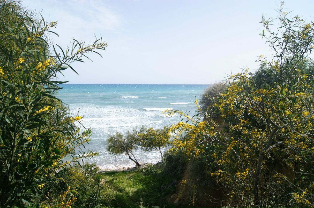 Анатолий Зырянов | Москва