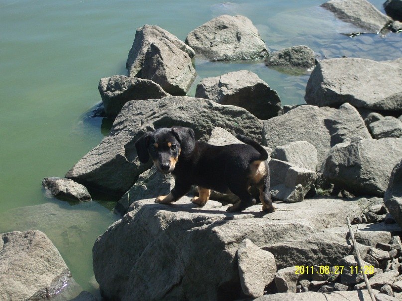 Настюшка Золотаренко | Светловодск