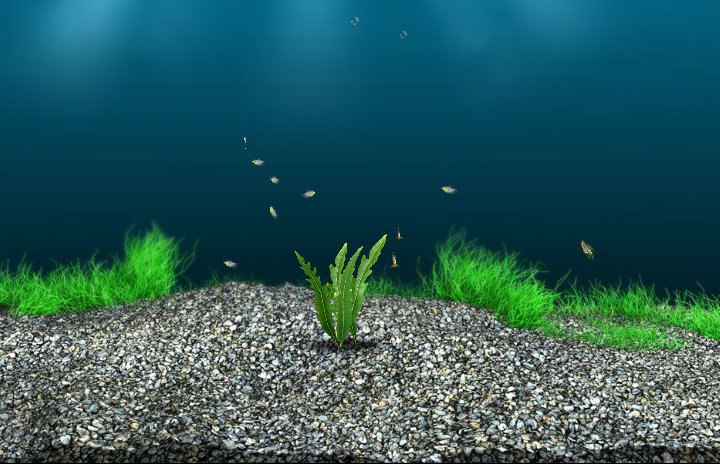 Никита Парамонов | Москва