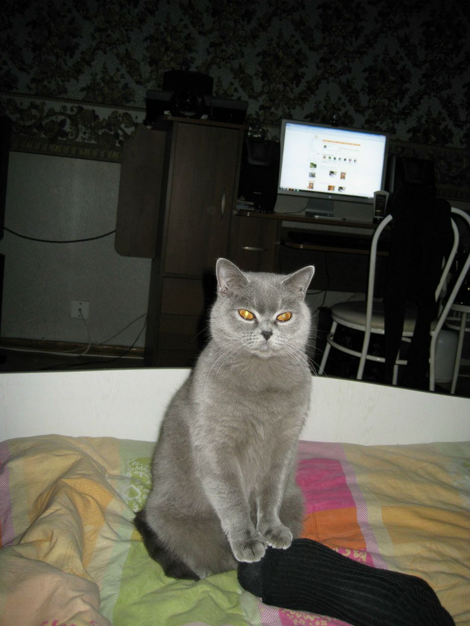 Мария Екимочкина | Москва