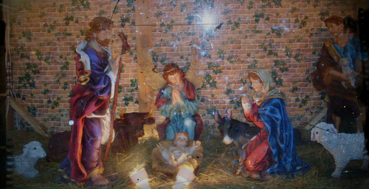 Николай Коломейцев | Санкт-Петербург