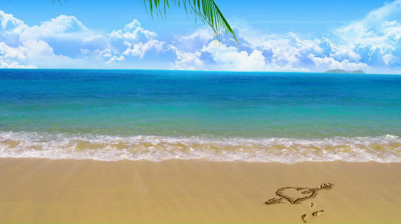 Максим Сотник Васильевич | Кропивницкий / Кировоград