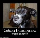 Фотография Татьяна Павлюк