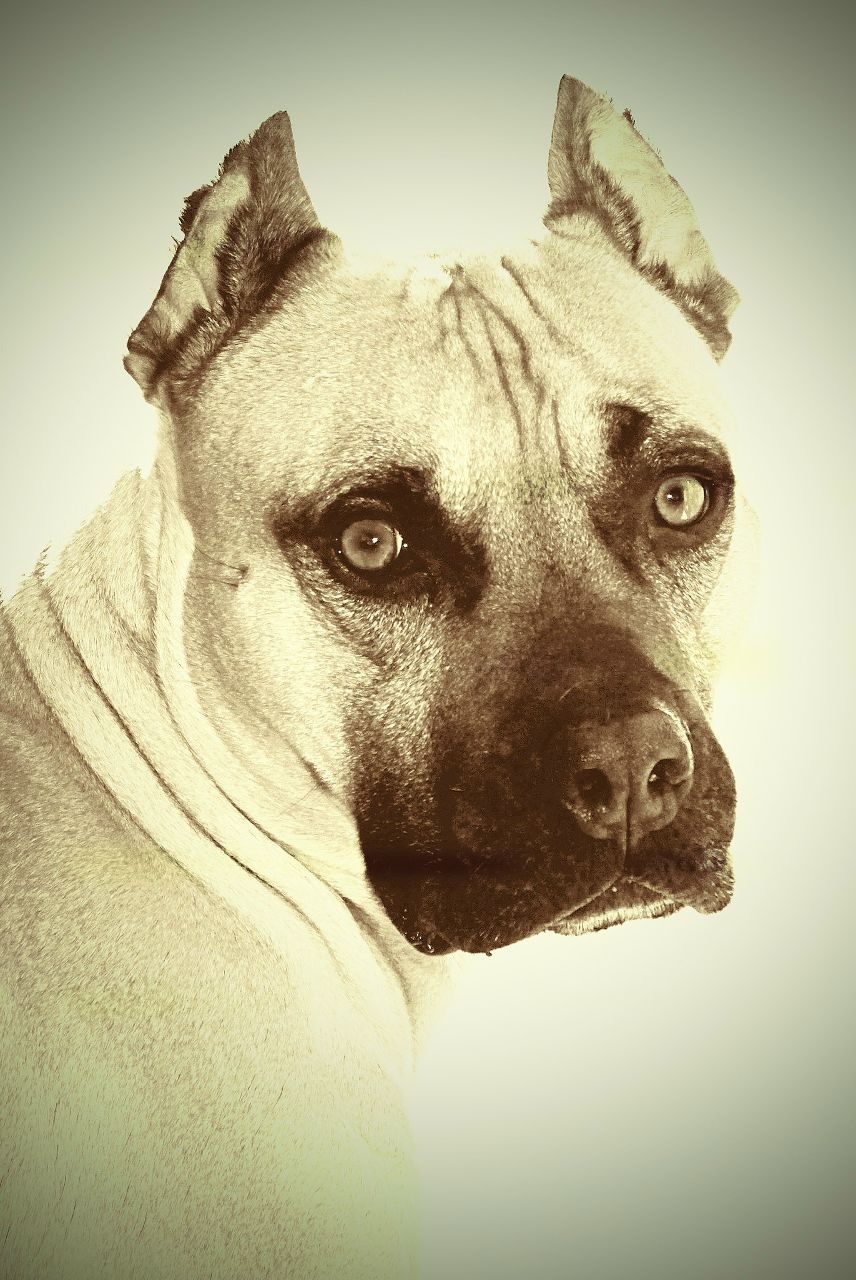 Елена Максимова | Москва