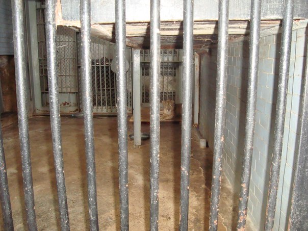 №12, Витос Клим, 40 лет, Николаев №12, Витос Клим, 40 лет, Николаев