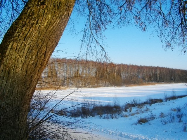 Лариса Титова | Горки