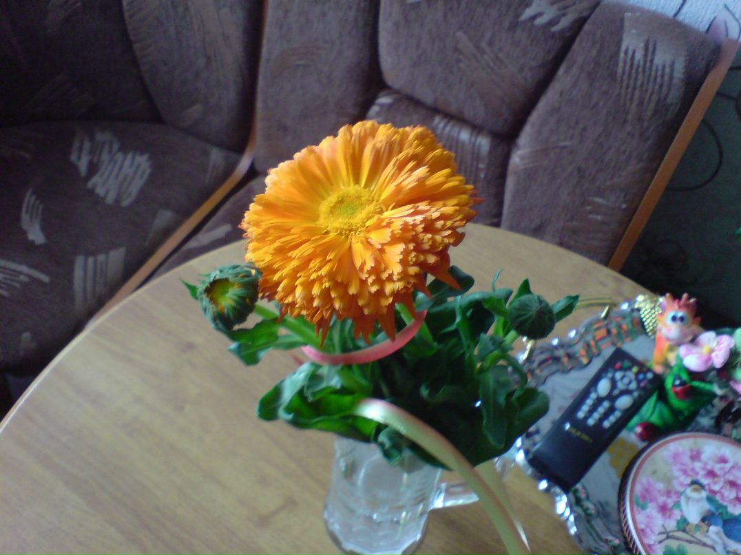 Серёга Посников Marlon Brando | Санкт-Петербург