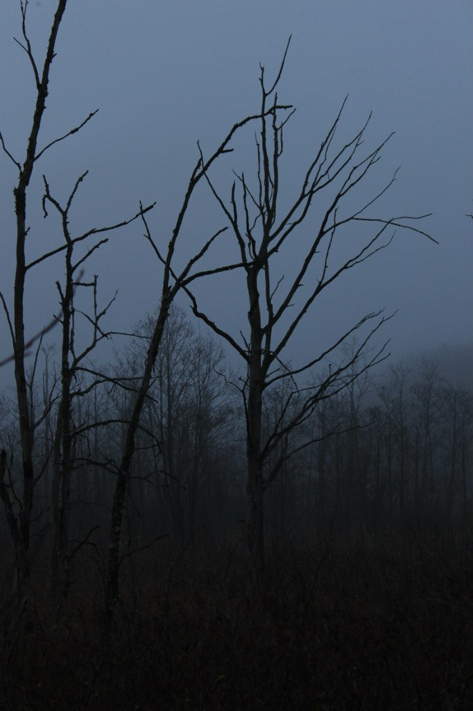 Дмитрий Соколов | 