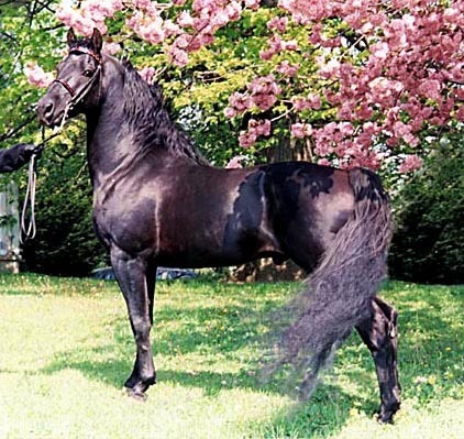 №31, Екатерина Дяденко, Тюмень, Россия №31, Екатерина Дяденко, Тюмень, Россия