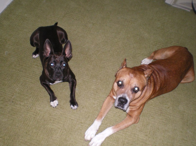 Антон Климов | 