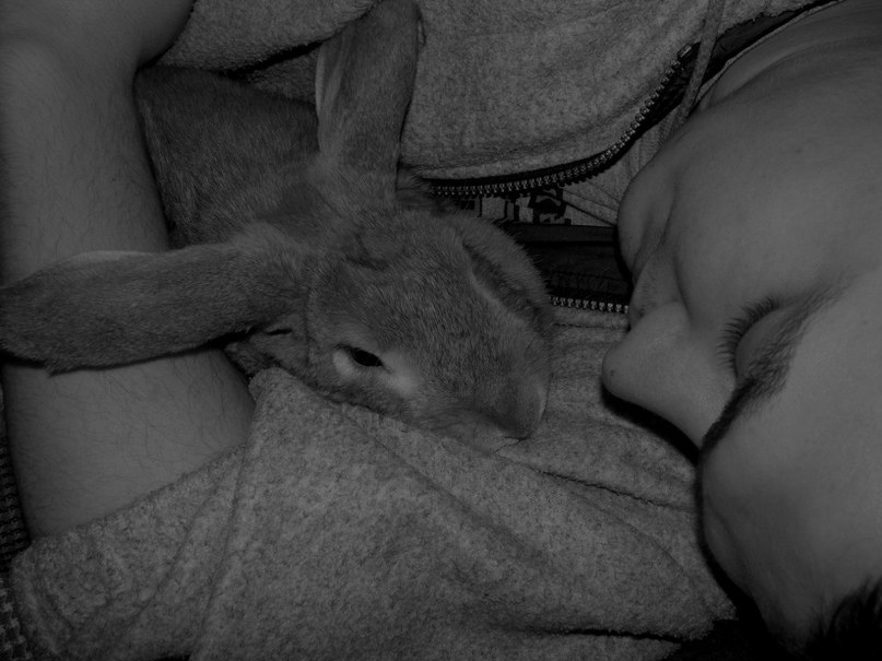 Павел Прокопец Brock | Николаев