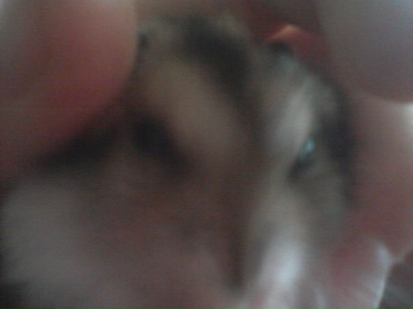 №23, Настя Брылина, Ульяновск №23, Настя Брылина, Ульяновск