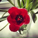 №13, Evgenia Voronova, Санкт-Петербург, Россия