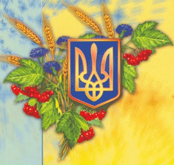 №174, Дмитрий Патлань, 37 лет, Черкассы №174, Дмитрий Патлань, 37 лет, Черкассы
