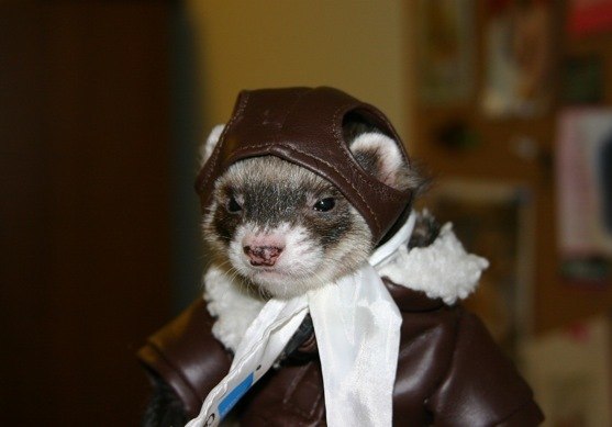 Юрий Костылев БОРМЕНТАЛЬ | Екатеринбург