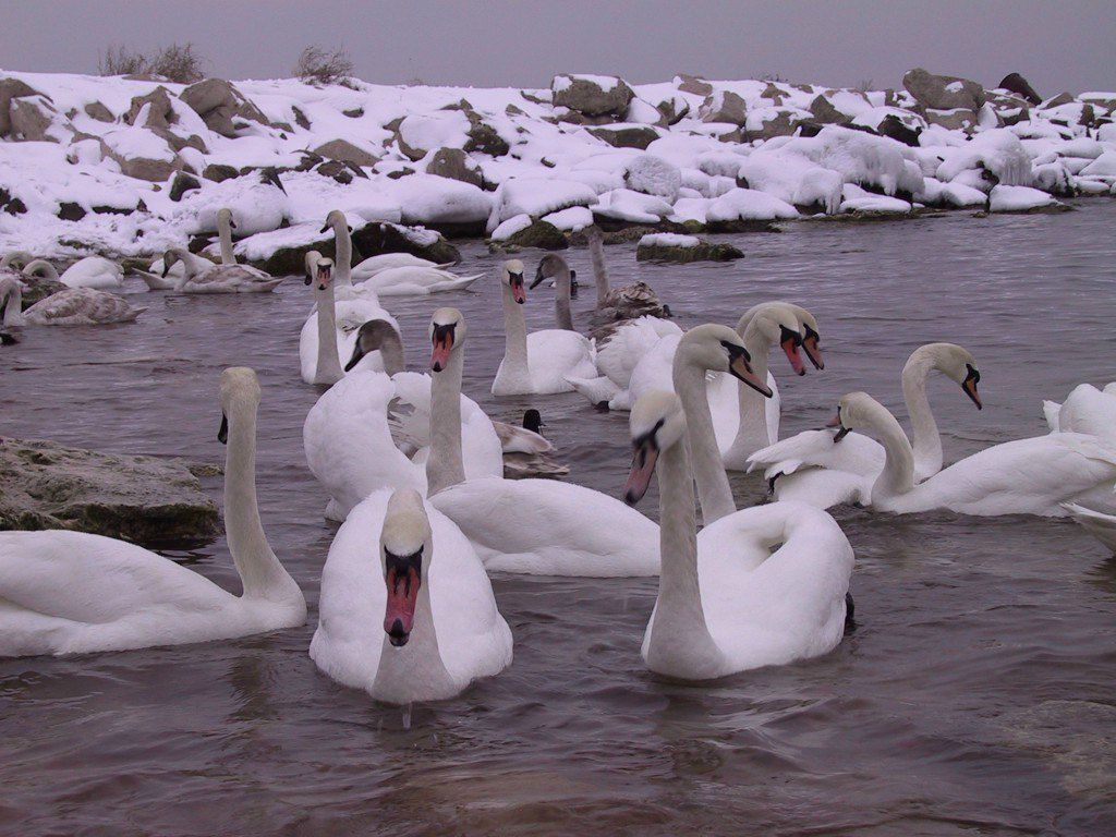 Lyudmila Umirbekova | Алматы