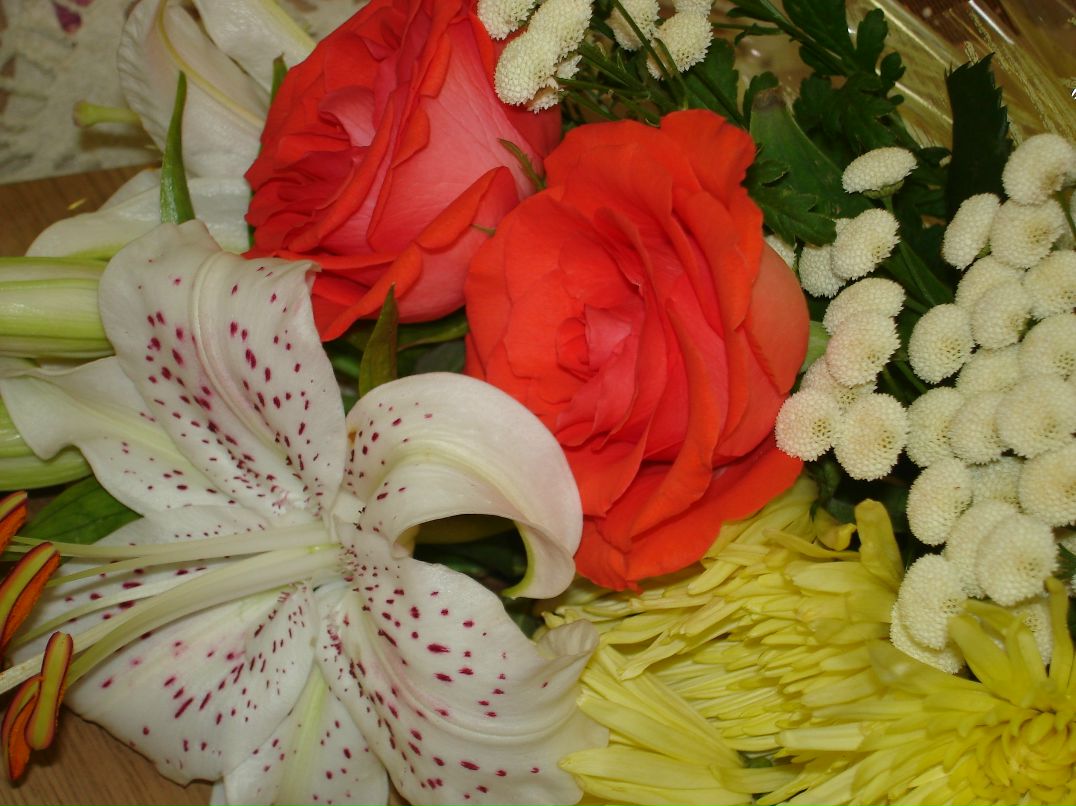 Ирина Репина | 