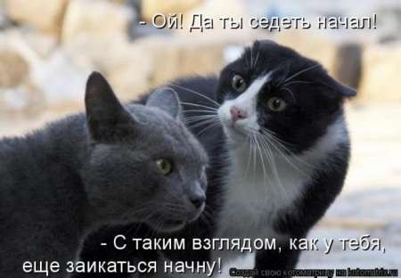 №130, Айсылу Юсупова, Краснодар №130, Айсылу Юсупова, Краснодар