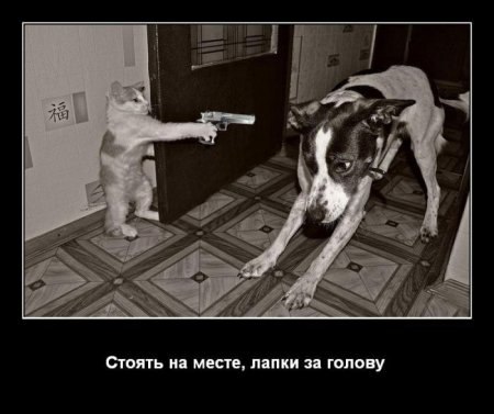 №117, Анатолий Музыка, 36 лет, Одесса №117, Анатолий Музыка, 36 лет, Одесса